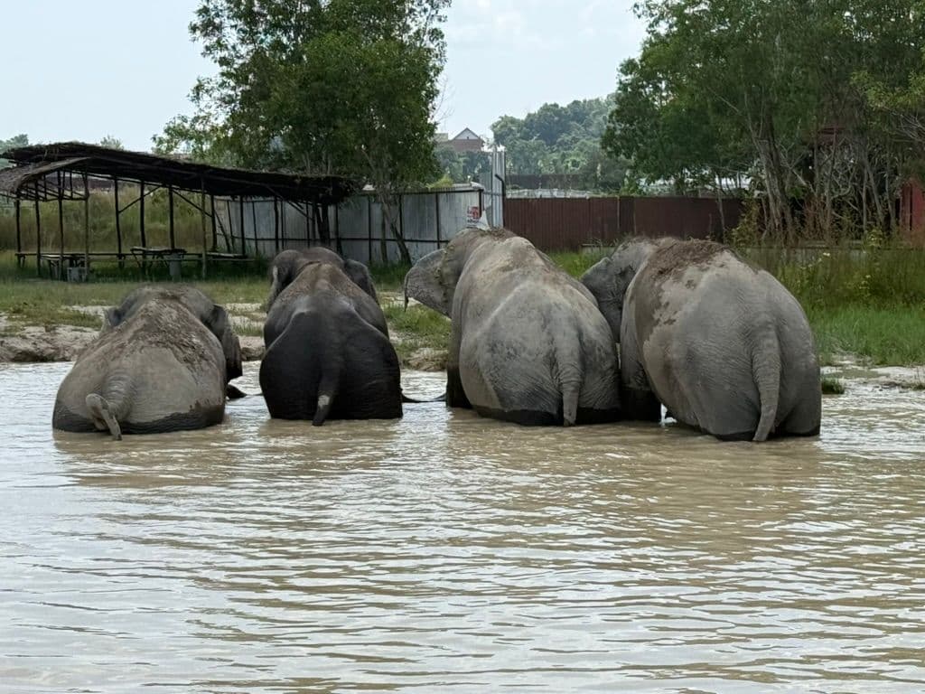 ADHD tool (rain record)